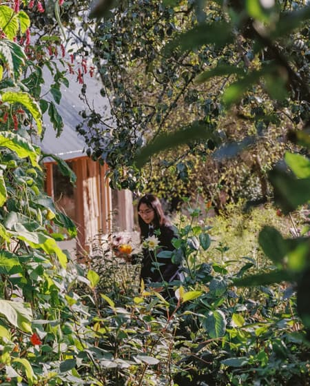 The Apple House